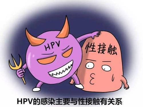 如何预防尖锐湿疣【惠州广肤皮肤病专科怎么样】